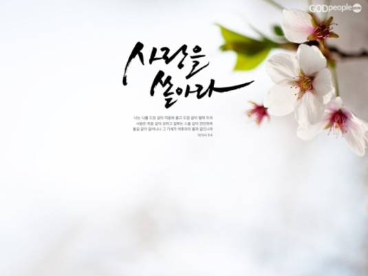중국차종 미팅 (test)